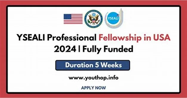 YLAI Fellowship